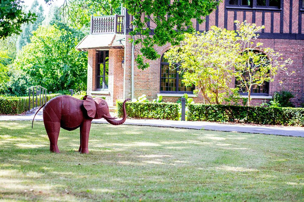 statut d'éléphant en extérieur